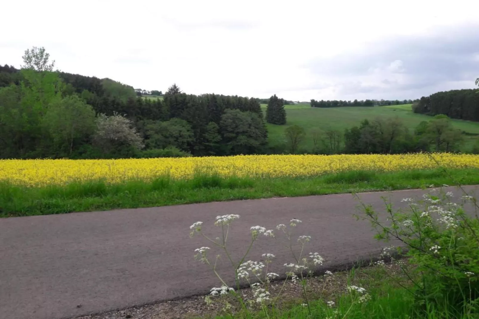 Ferienhaus Bremer-Areas within 20km in summer