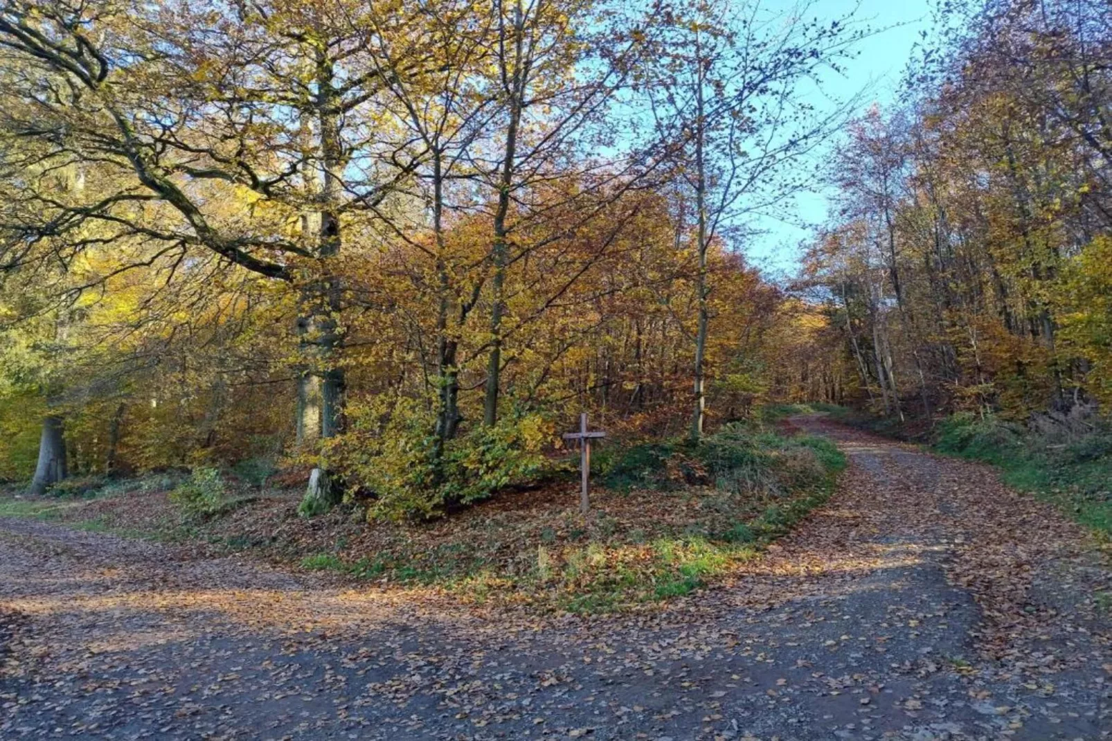 Ferienhaus Rühlen-Areas within 20km in summer