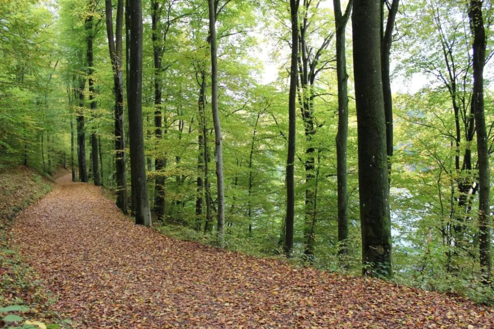 Eschbachtal-Areas within 20km in summer