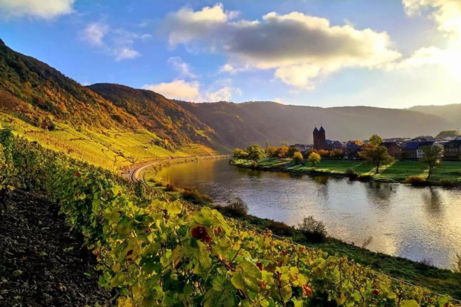 Weingut Hausmann-Gebiete Sommer 20 km