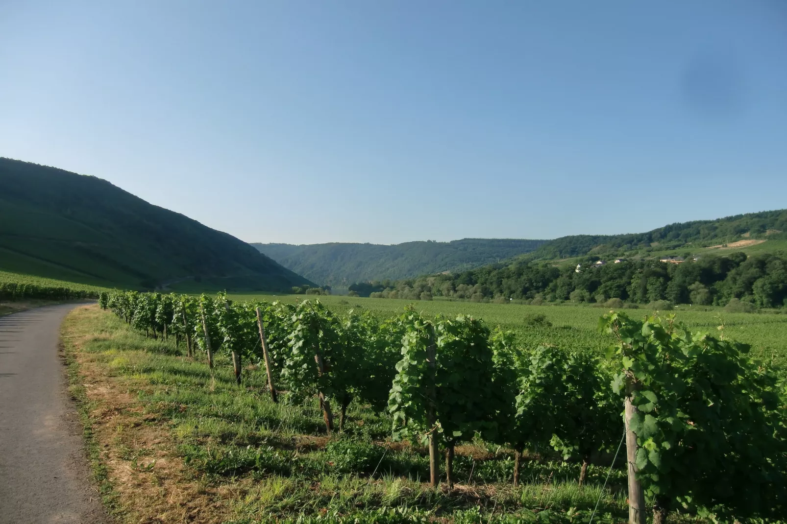 Ferien-Weingut Kirch-Areas within 20km in summer