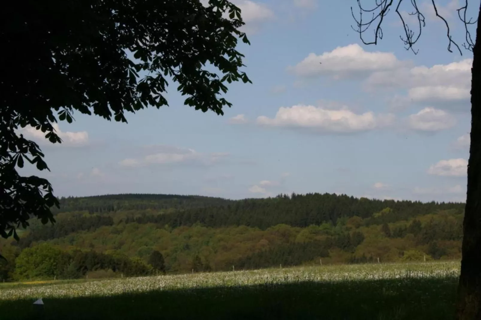 Dömer-Areas within 20km in summer