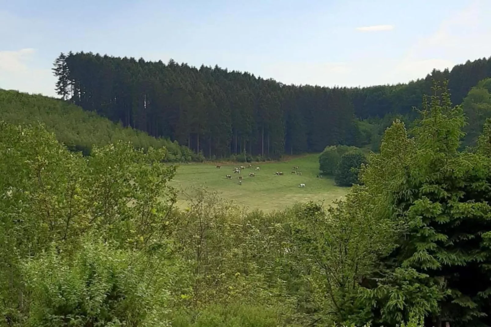 Ferienwohnung Silbecke-Gebiete Sommer 20 km