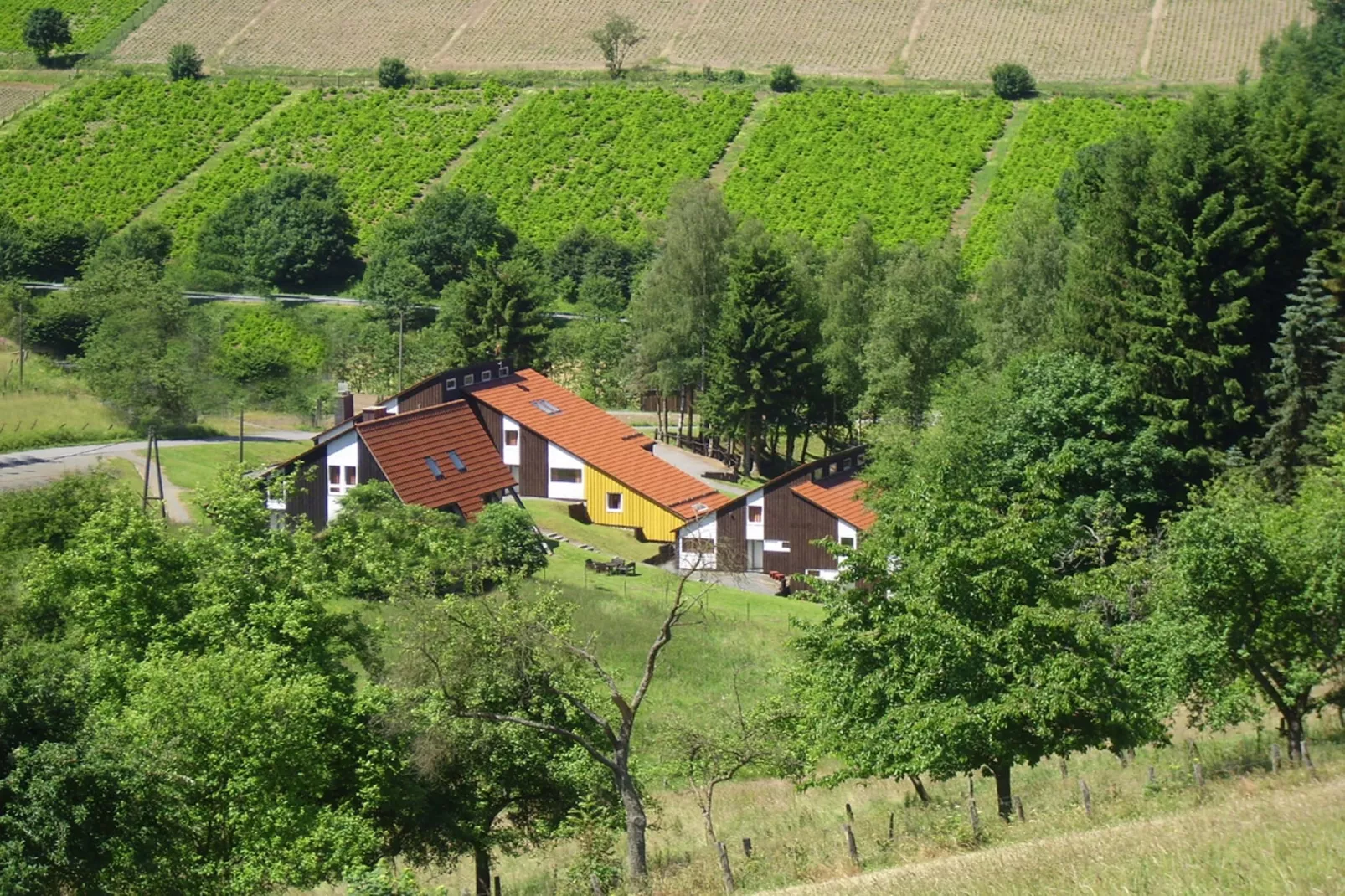 Fuchsbau-Außenbereich Sommer