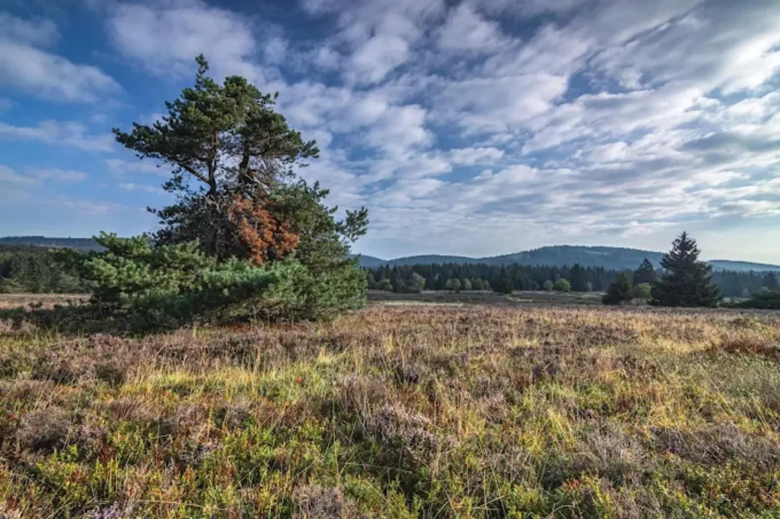 Buchenweg 13 - Kappenblick-Zones été à 5 km