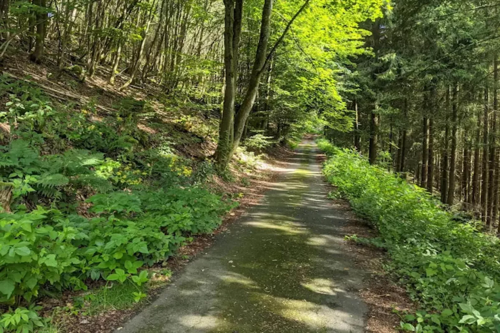 Neuastenberger Straße 4 - Neuastenberg-Gebiete Sommer 1 km