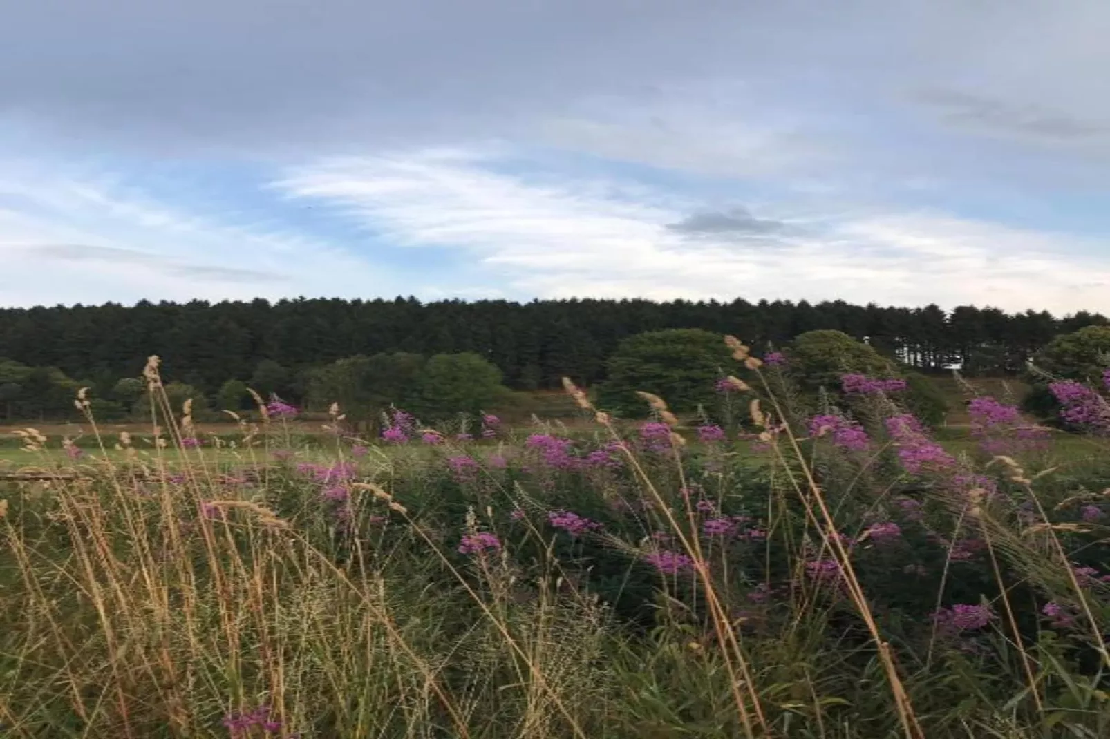 Am Astenberg-Areas within 5km in summer