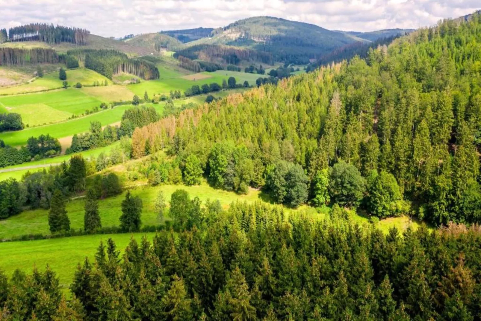 Anette-Areas within 5km in summer