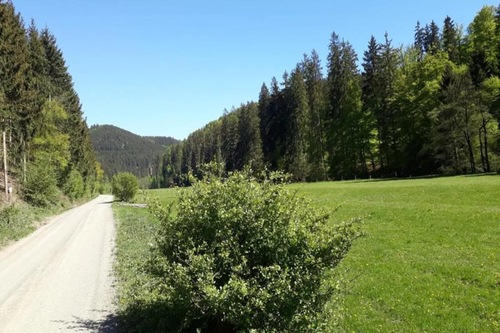 Anna-Gebiete Sommer 5 km