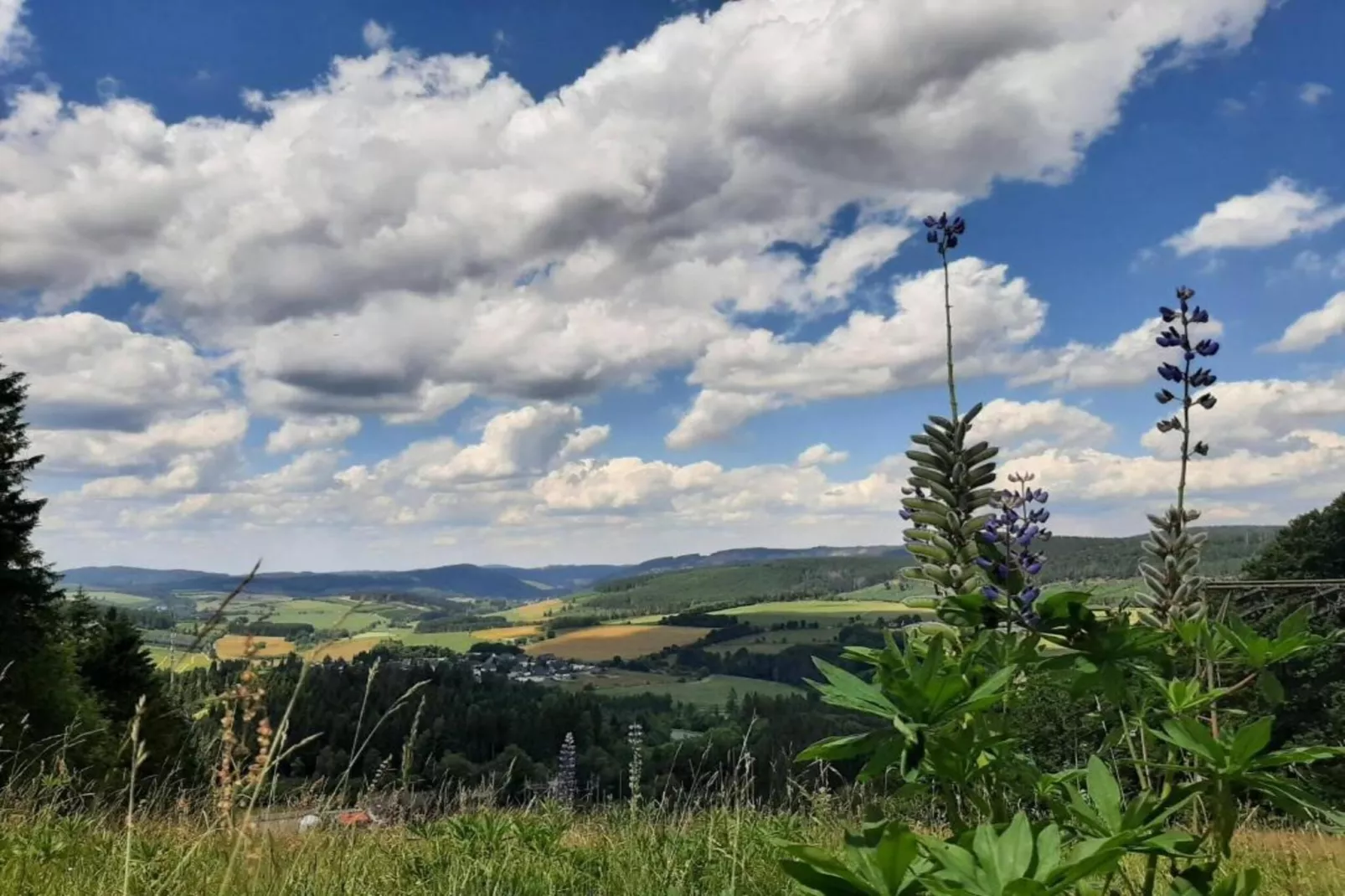 Zum Spitzen Land-Areas within 20km in summer