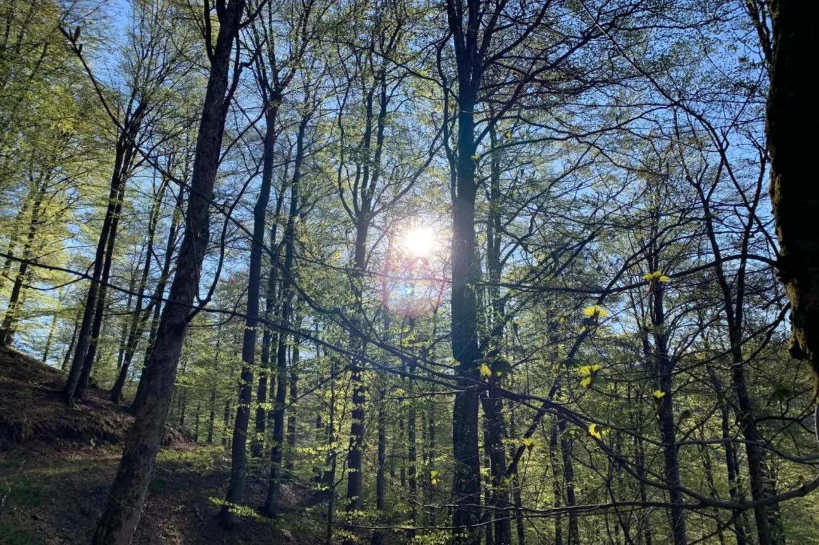 Küstelberg-Gebiete Sommer 20 km