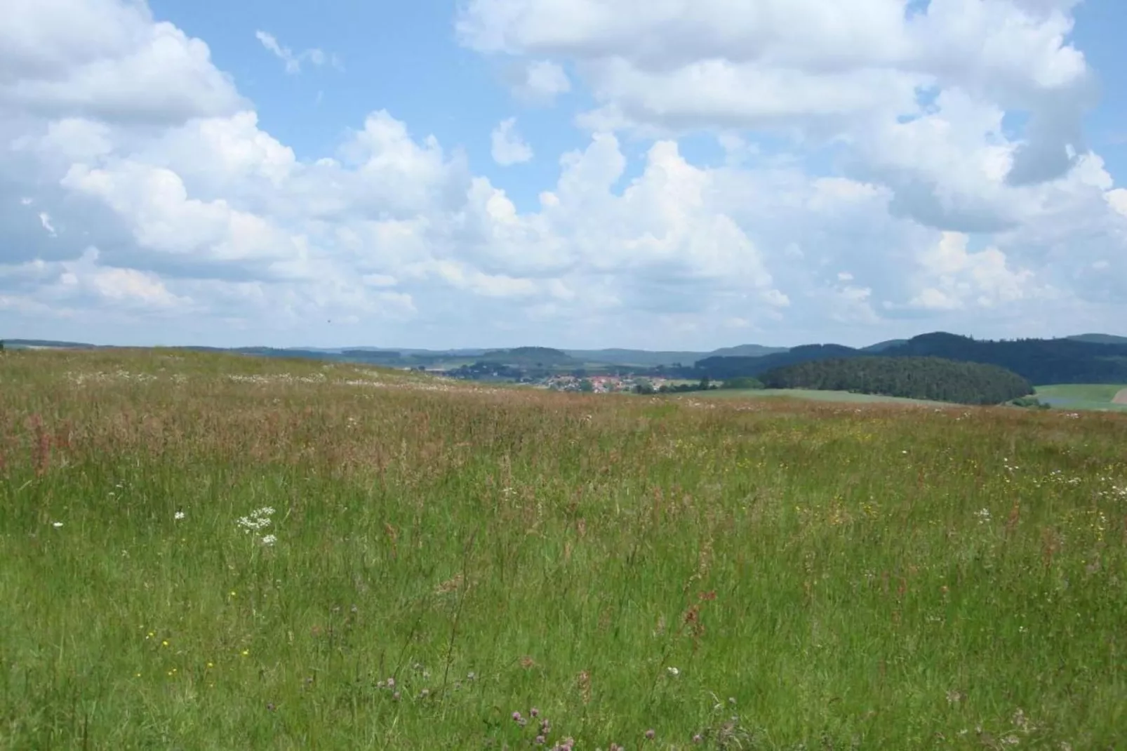 Köster-Areas within 20km in summer