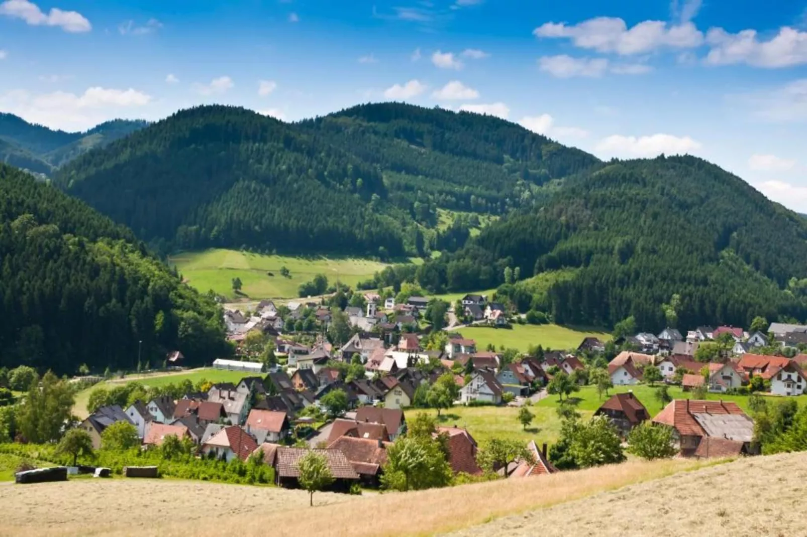 Panoramablick-Areas within 20km in summer