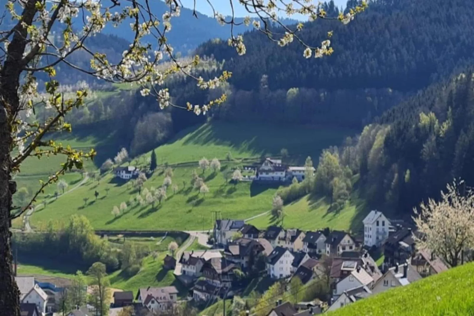 Markus-Area within 20km in winter