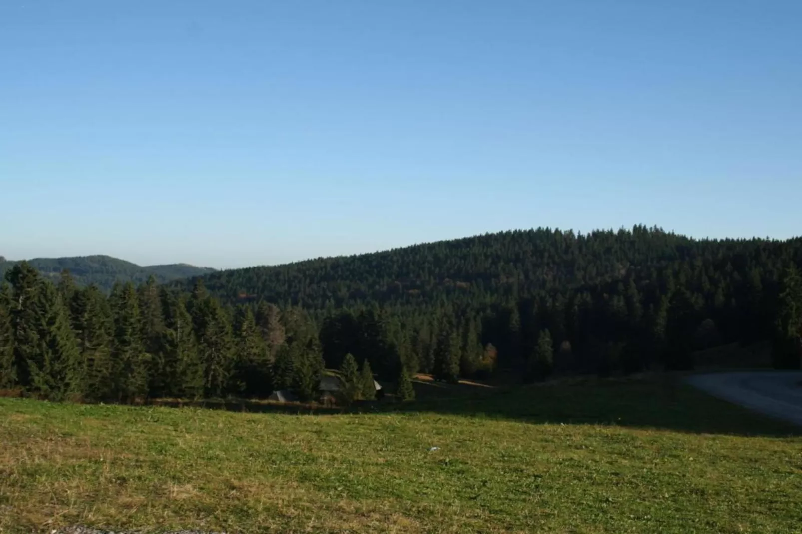 Neukirch-Areas within 20km in summer