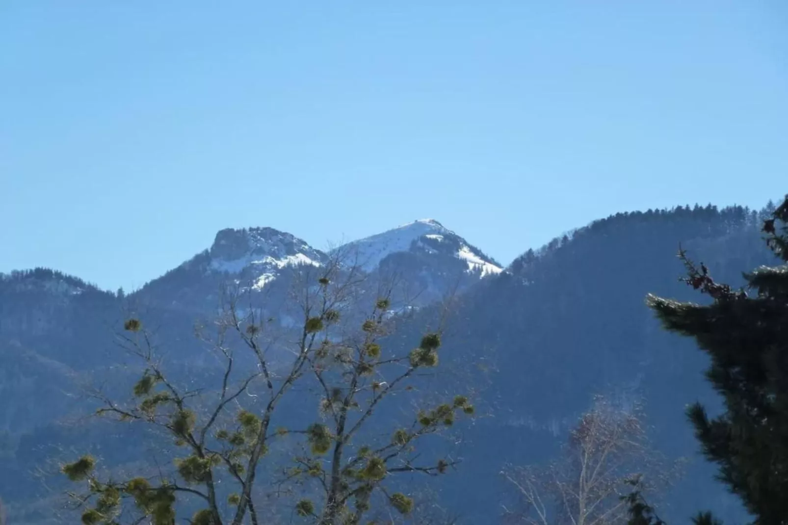 Isidor-Areas within 20km in summer
