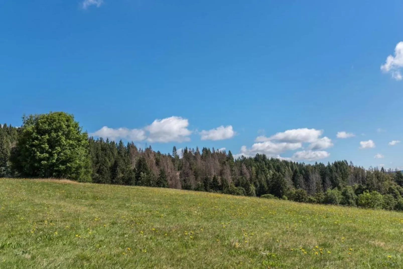 Pferdeklause-Areas within 20km in summer