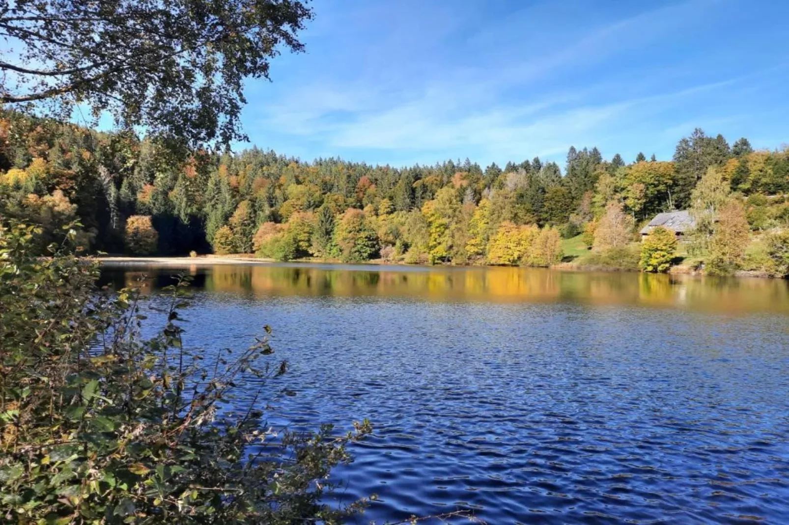 Altes Forsthaus-Gebiete Sommer 20 km
