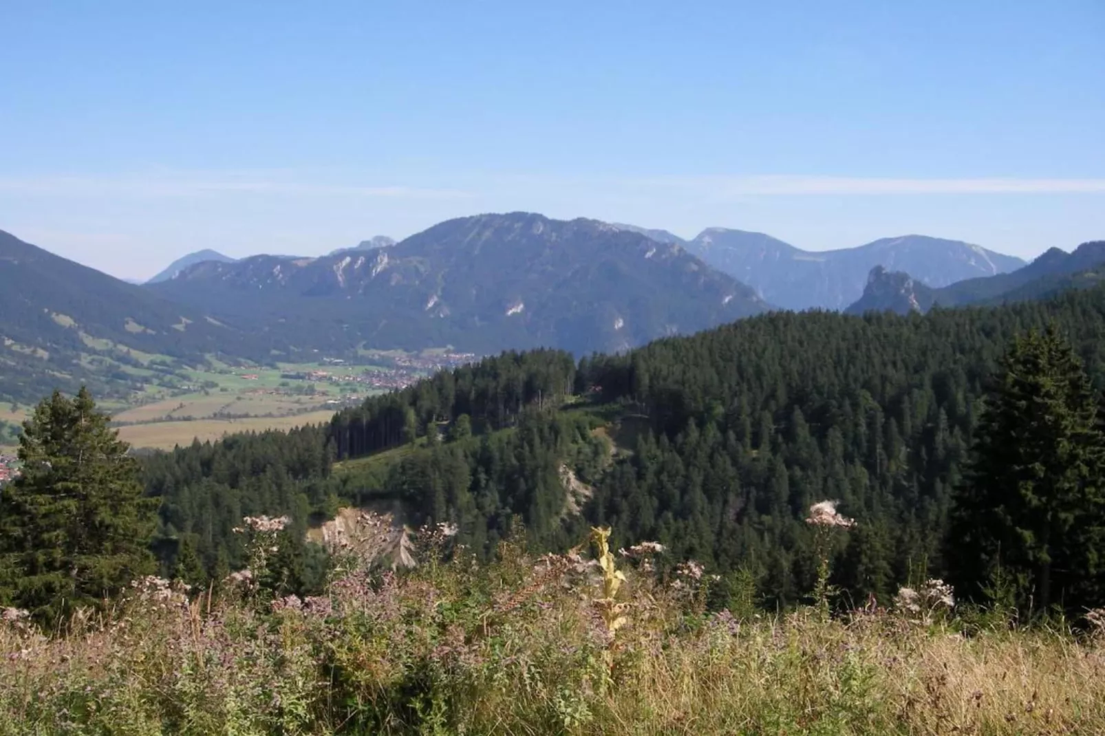 Sonnenblume-Areas within 20km in summer