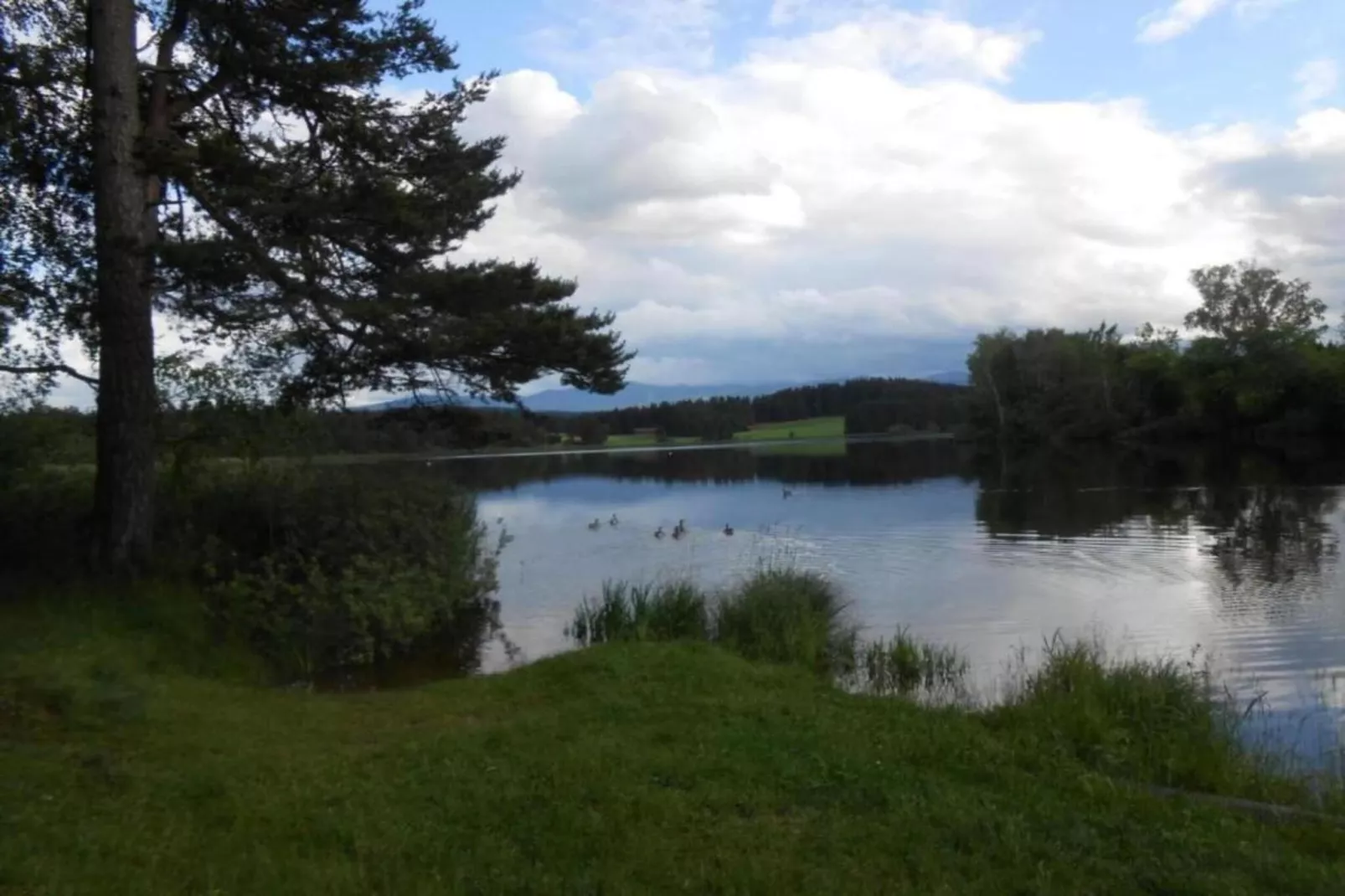 Im Pfaffenwinkel-Areas within 20km in summer