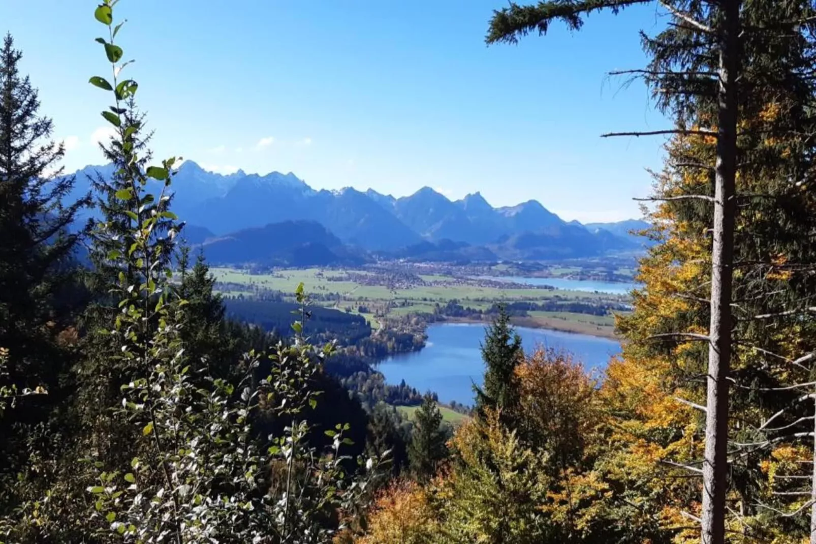 Allgäu-Areas within 20km in summer