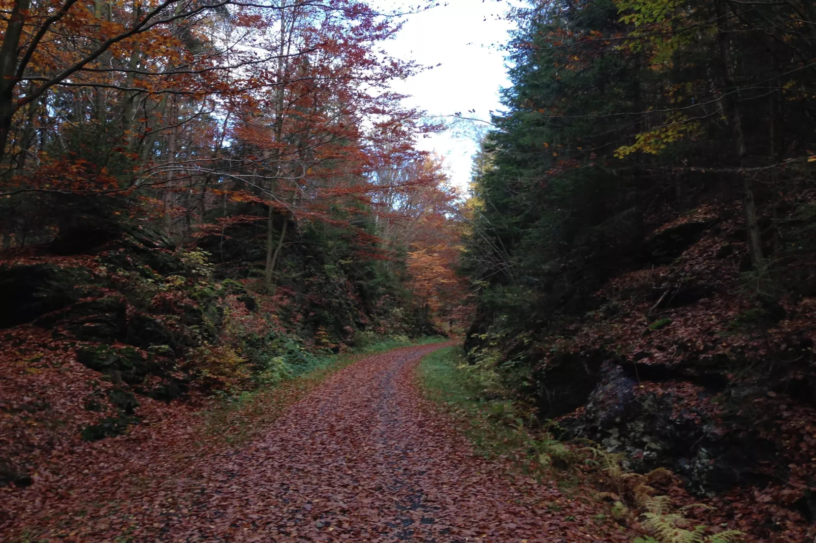 Morgensonne-Areas within 5km in summer
