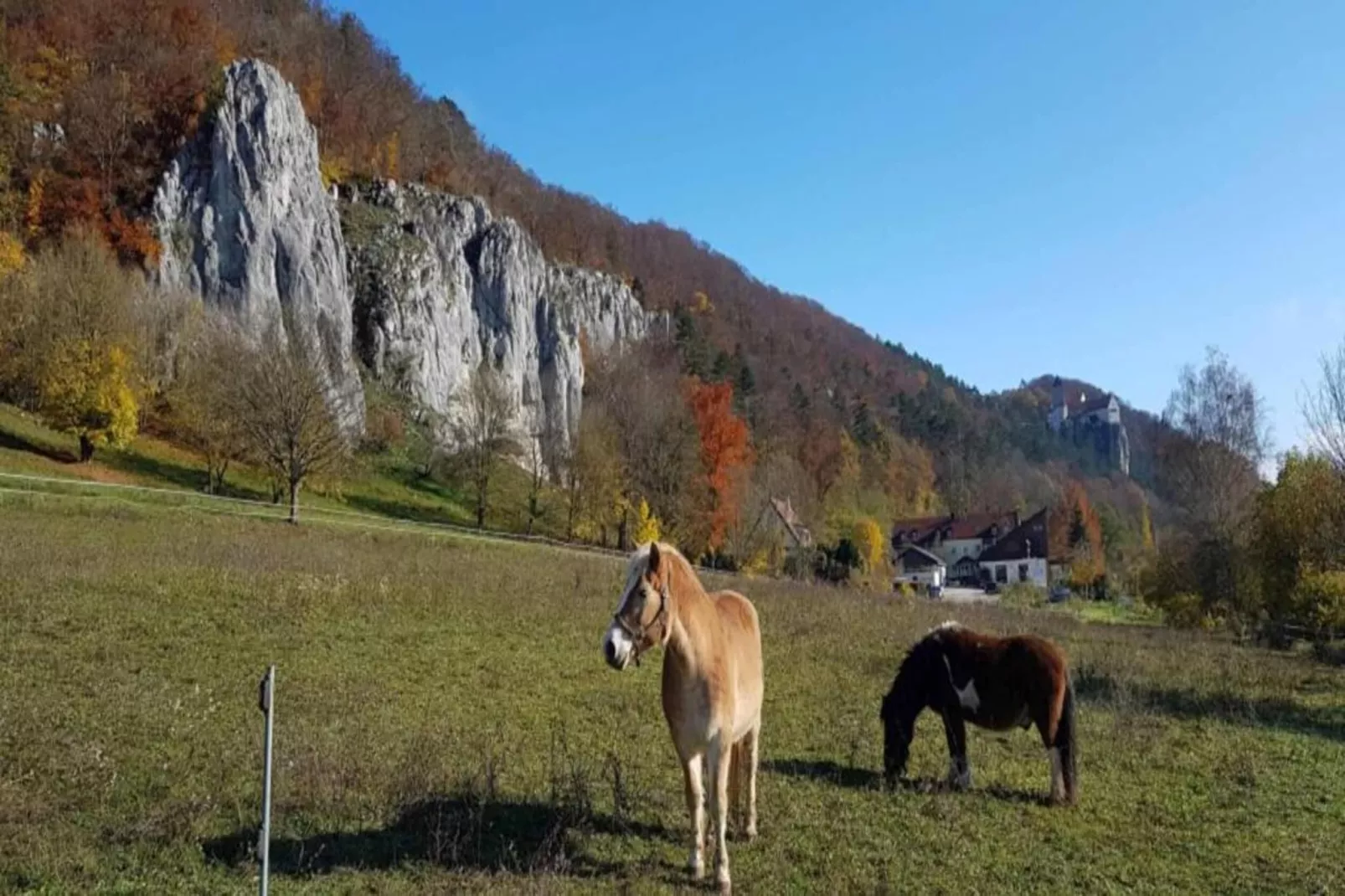 Alter Pfarrhof-Zones été à 1 km