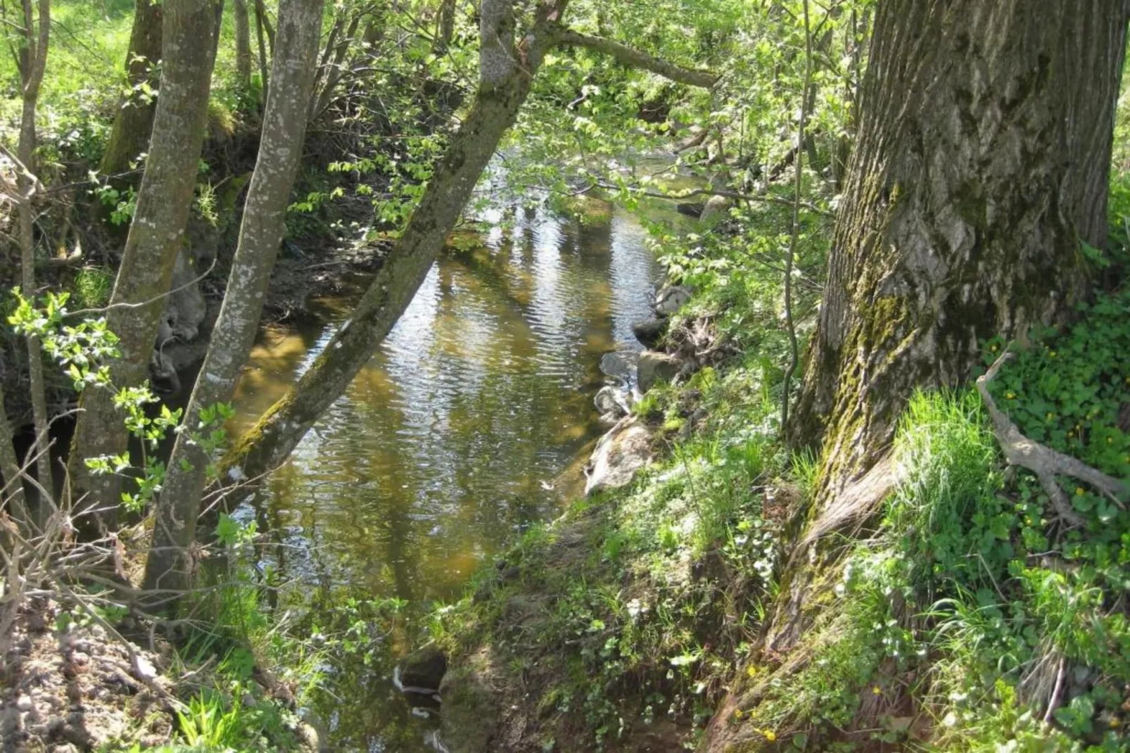 Am Ferienhof-Gebiete Sommer 20 km