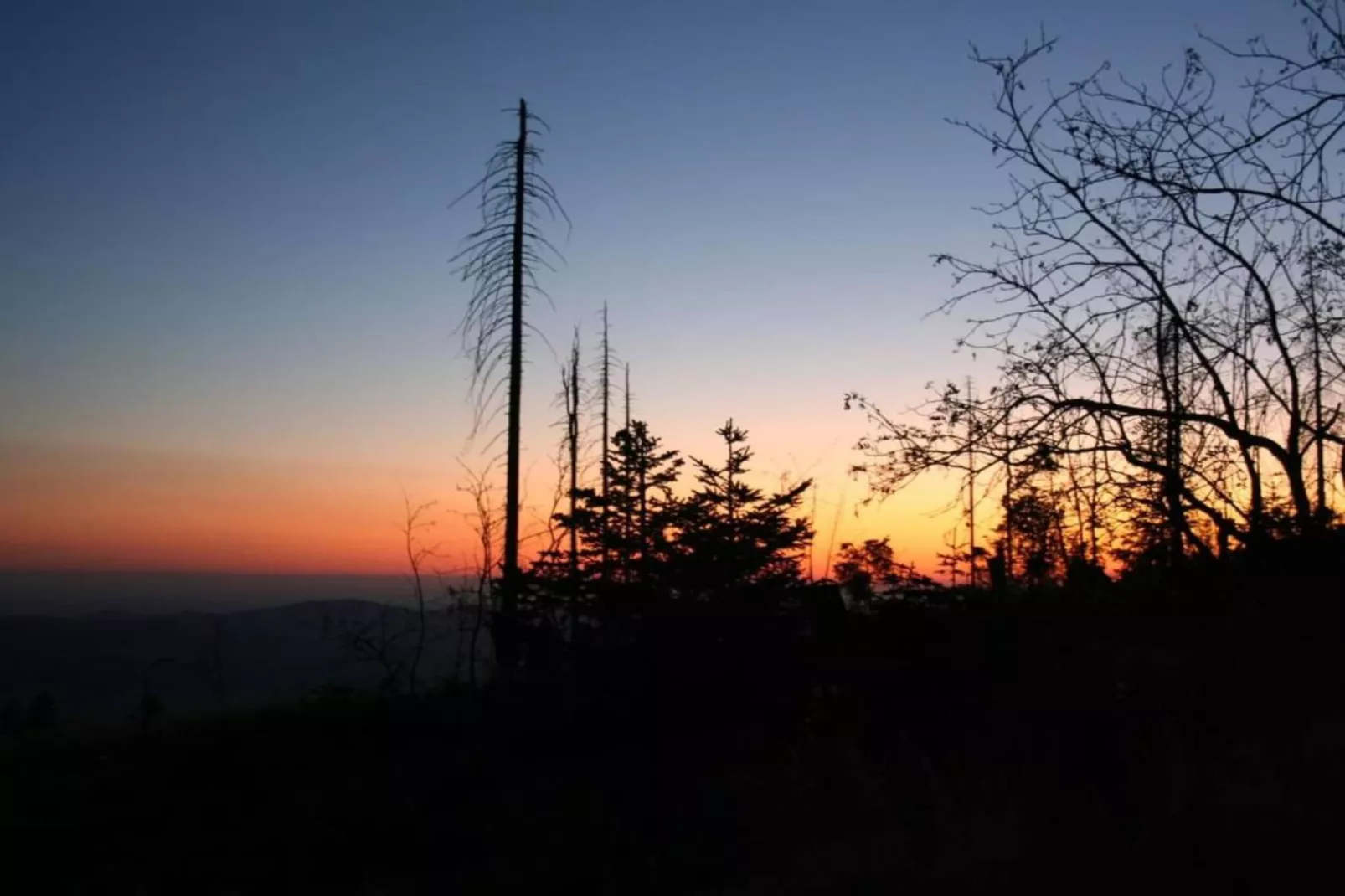 Im Bayerischen Wald-Areas within 20km in summer