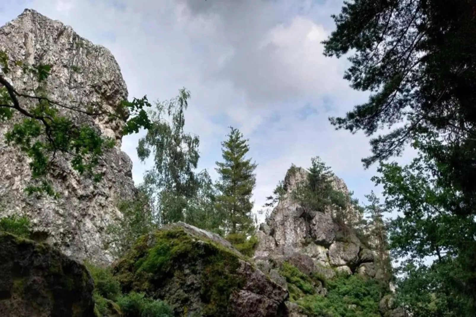 Ferienhaus mit Sauna im Bayerischen Wald-Areas within 20km in summer