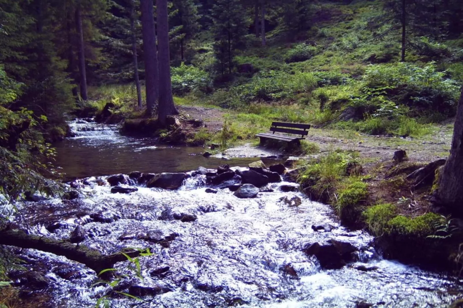Im Zellertal-Areas within 20km in summer