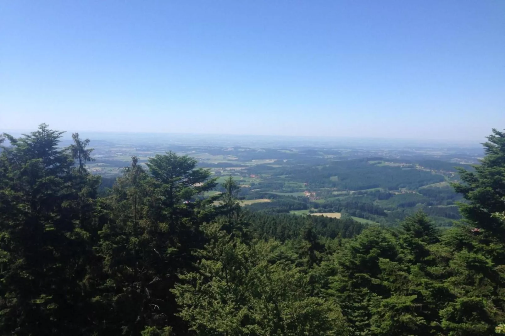 Finkenstube-Areas within 20km in summer
