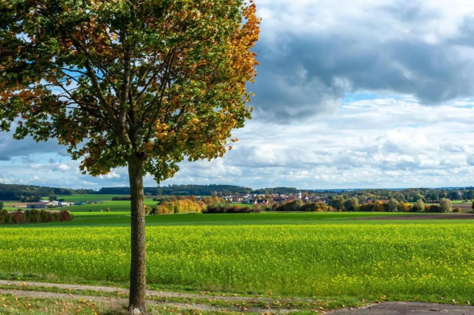 Wilder Wein-Areas within 20km in summer