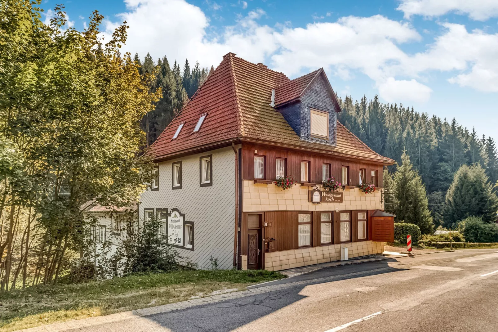 Waldblick-Außenbereich Sommer