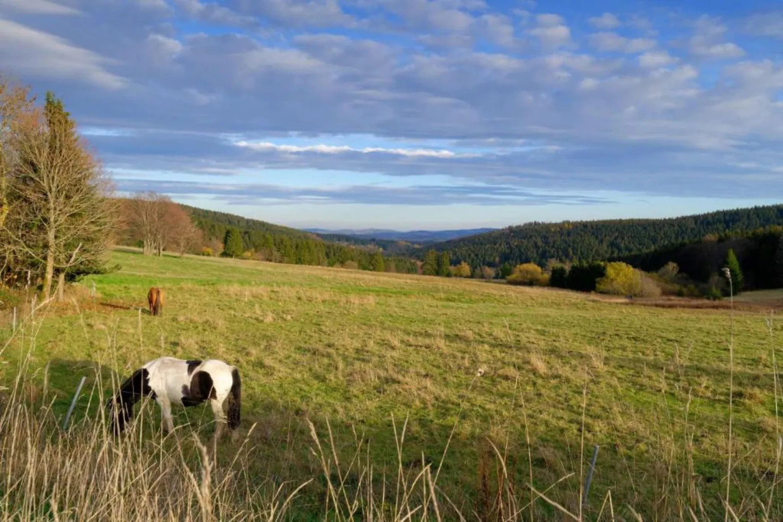 Altenfeld-Areas within 5km in summer
