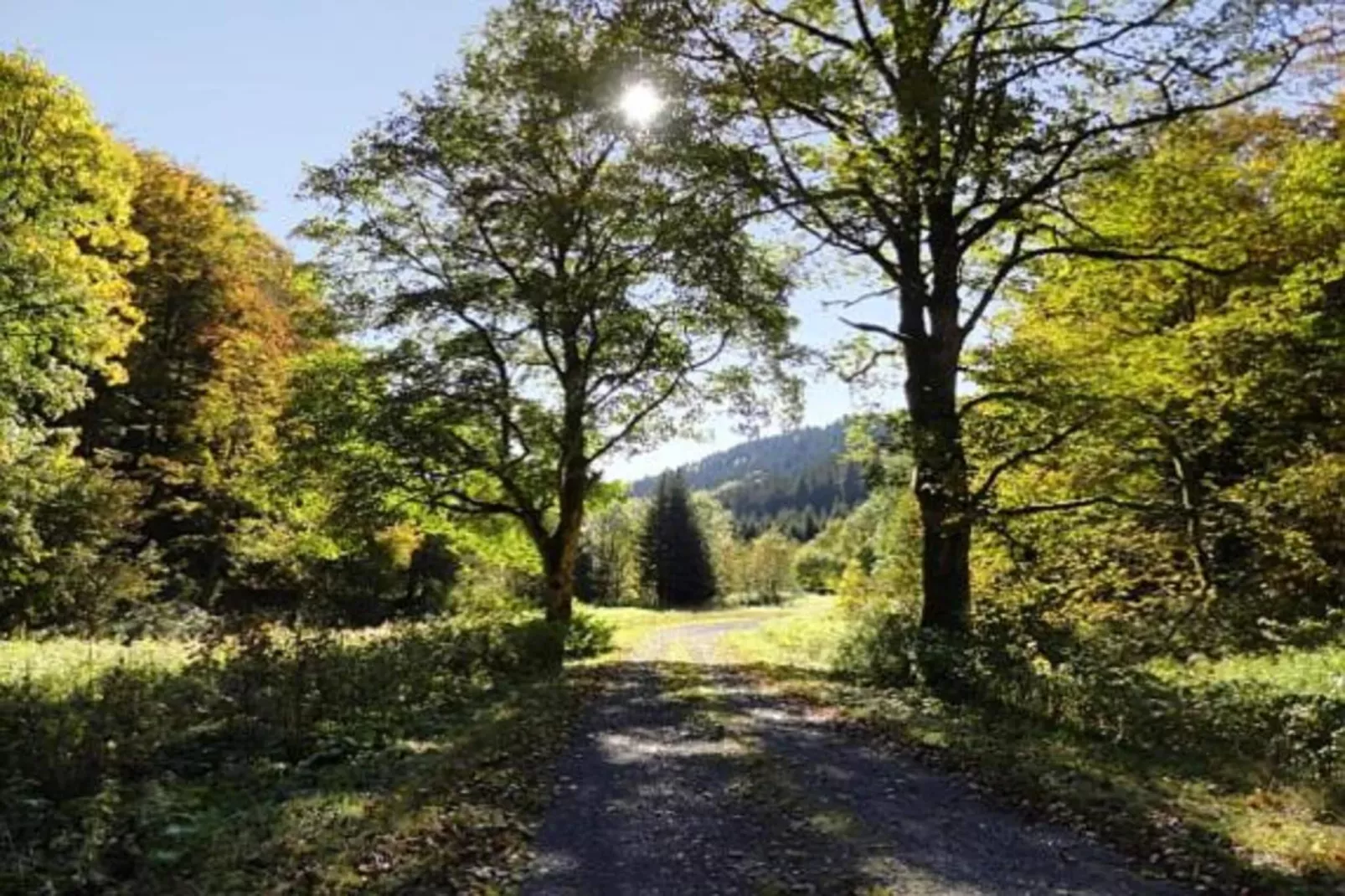 Thüringer Wald-Areas within 20km in summer