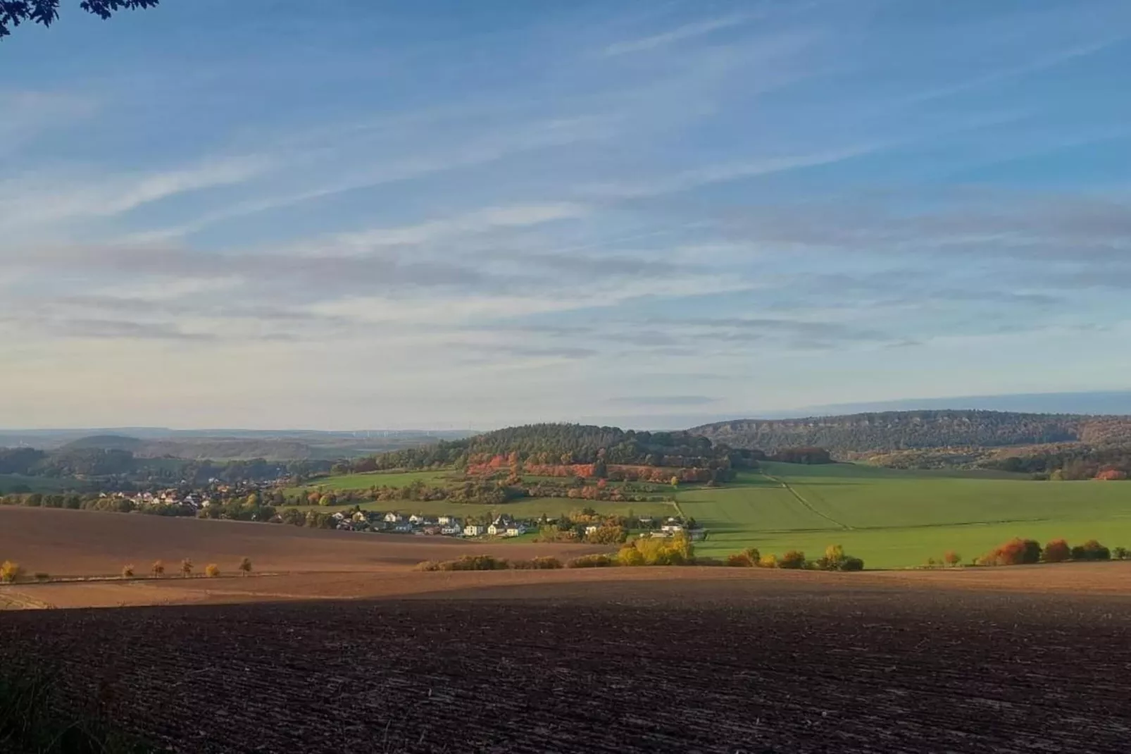Mosbach-Areas within 5km in summer