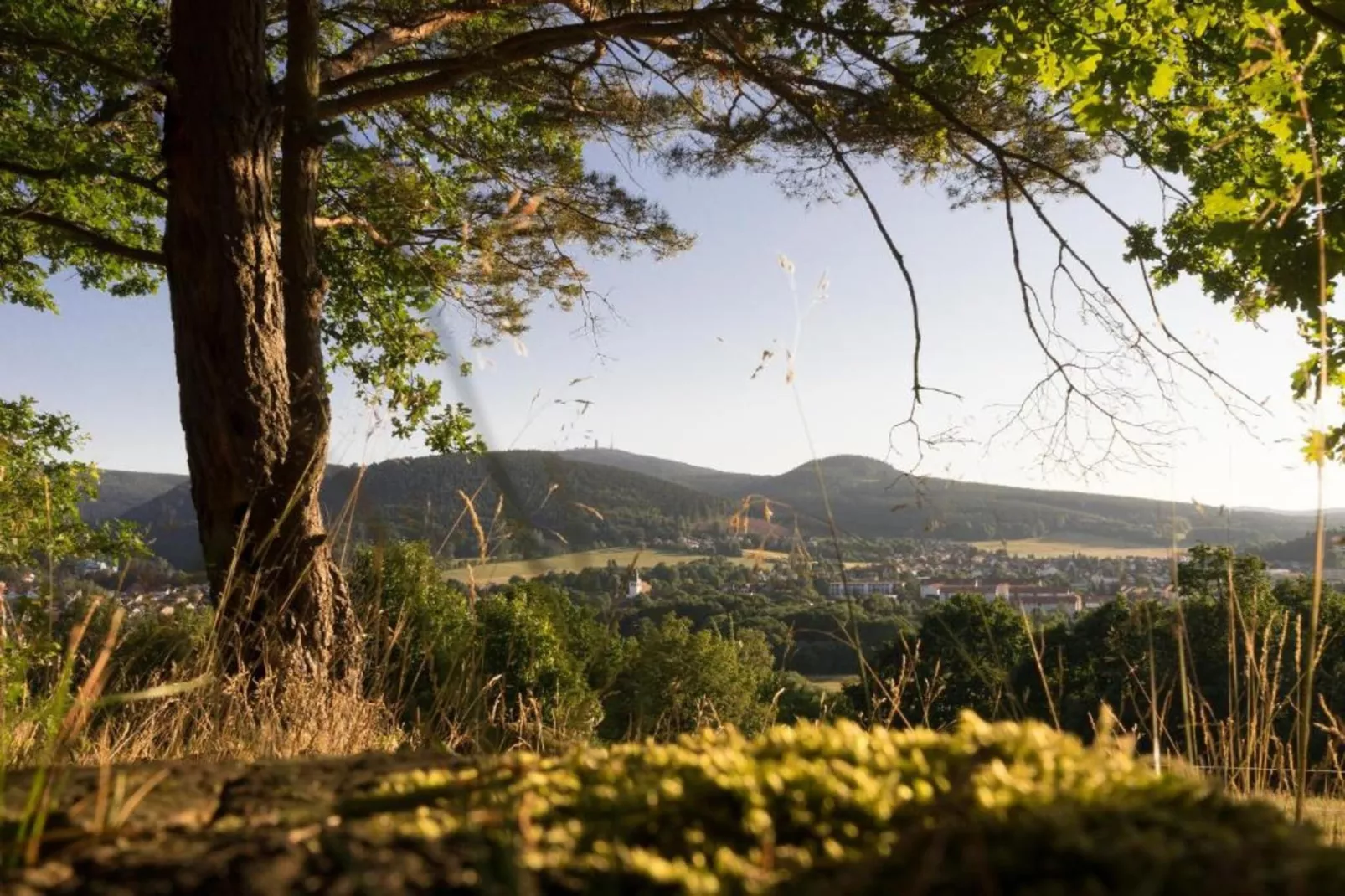 Sonnenschein-Areas within 20km in summer