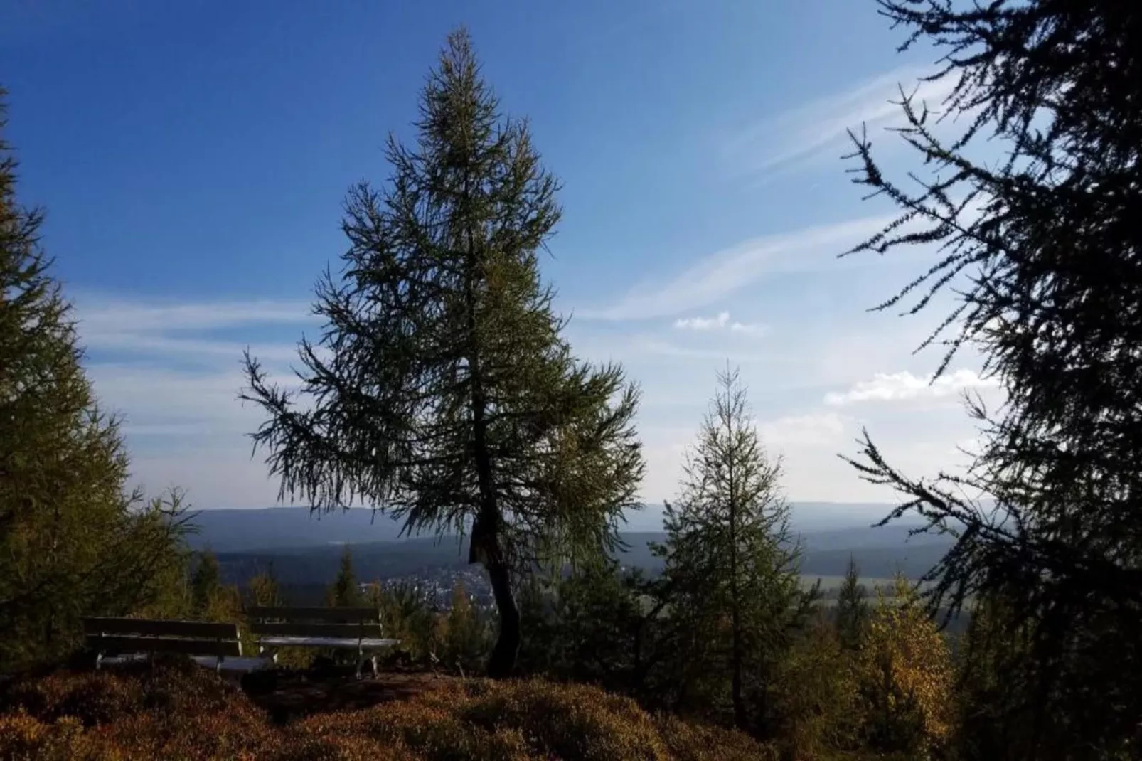 Ferienhaus im Thüringer Wald-Areas within 5km in summer