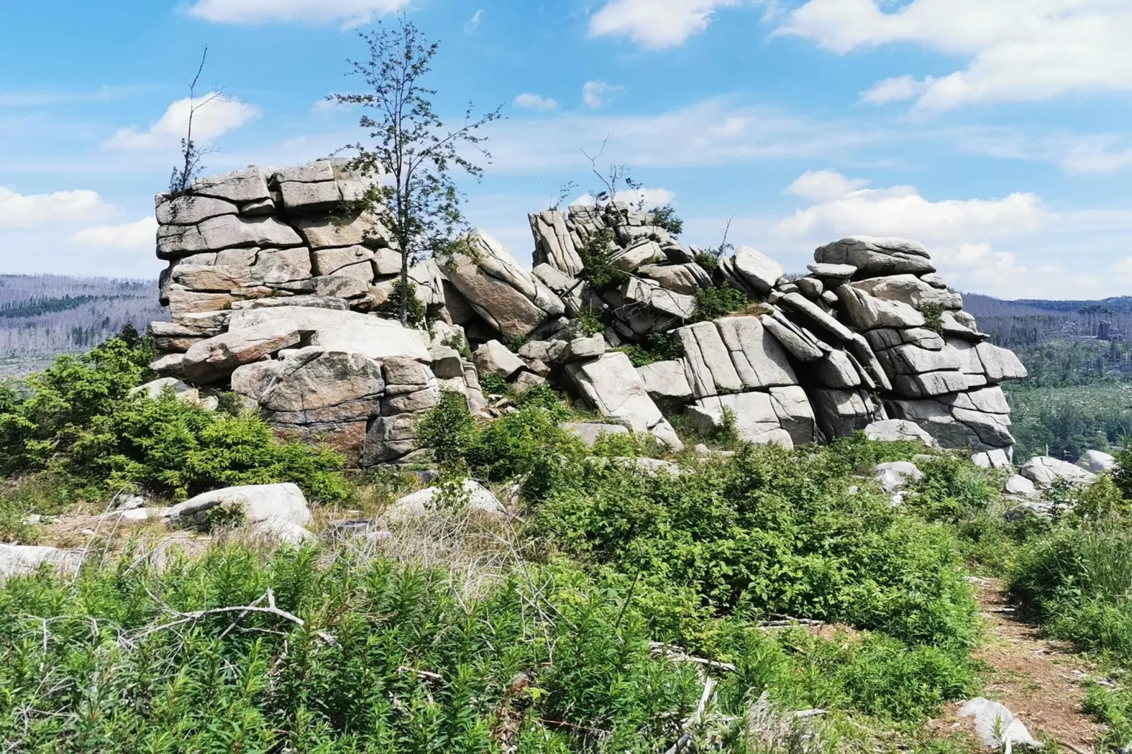 FH PremiumLodge Plus-4Erw und 2 Ki 4-11-Areas within 5km in summer