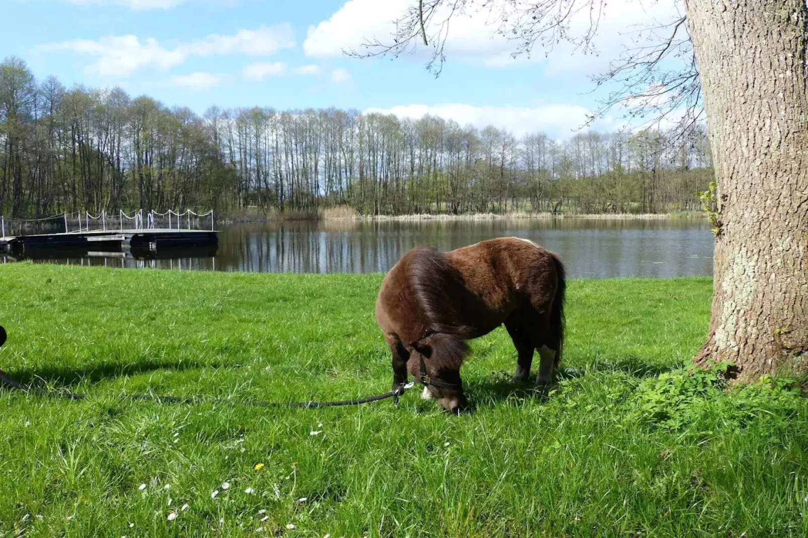 Chalet - 2 Personen-Areas within 1km in summer