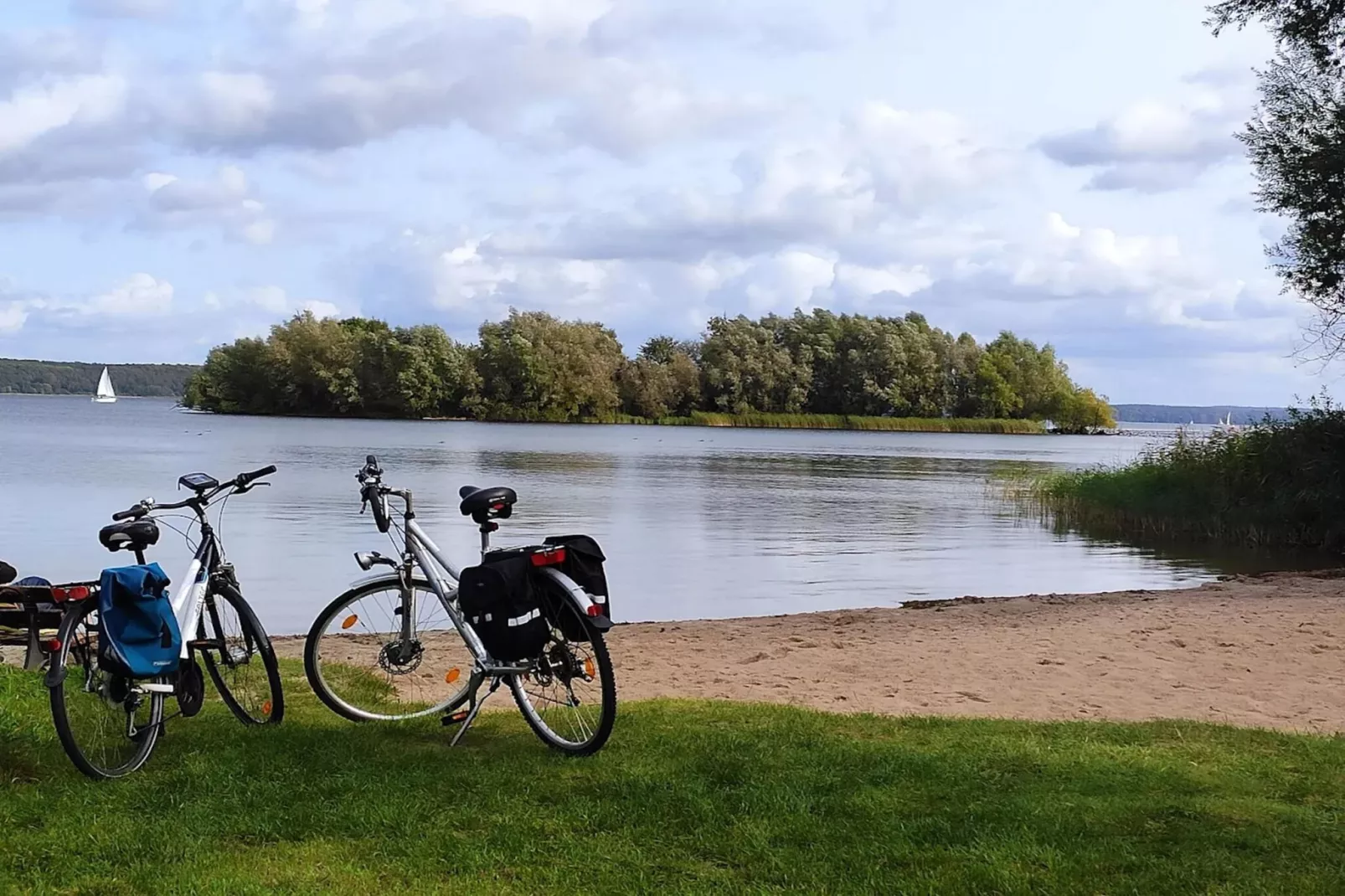 Kiebitz 100 qm-Gebiete Sommer 1 km