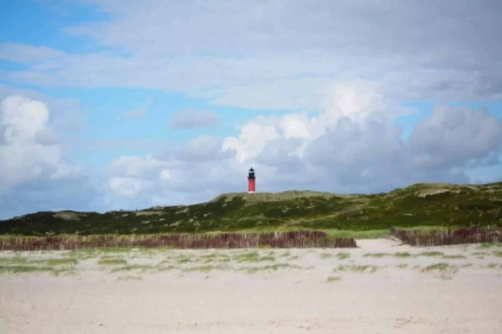 Ferienwohnung in Wyk auf Föhr - Stockente