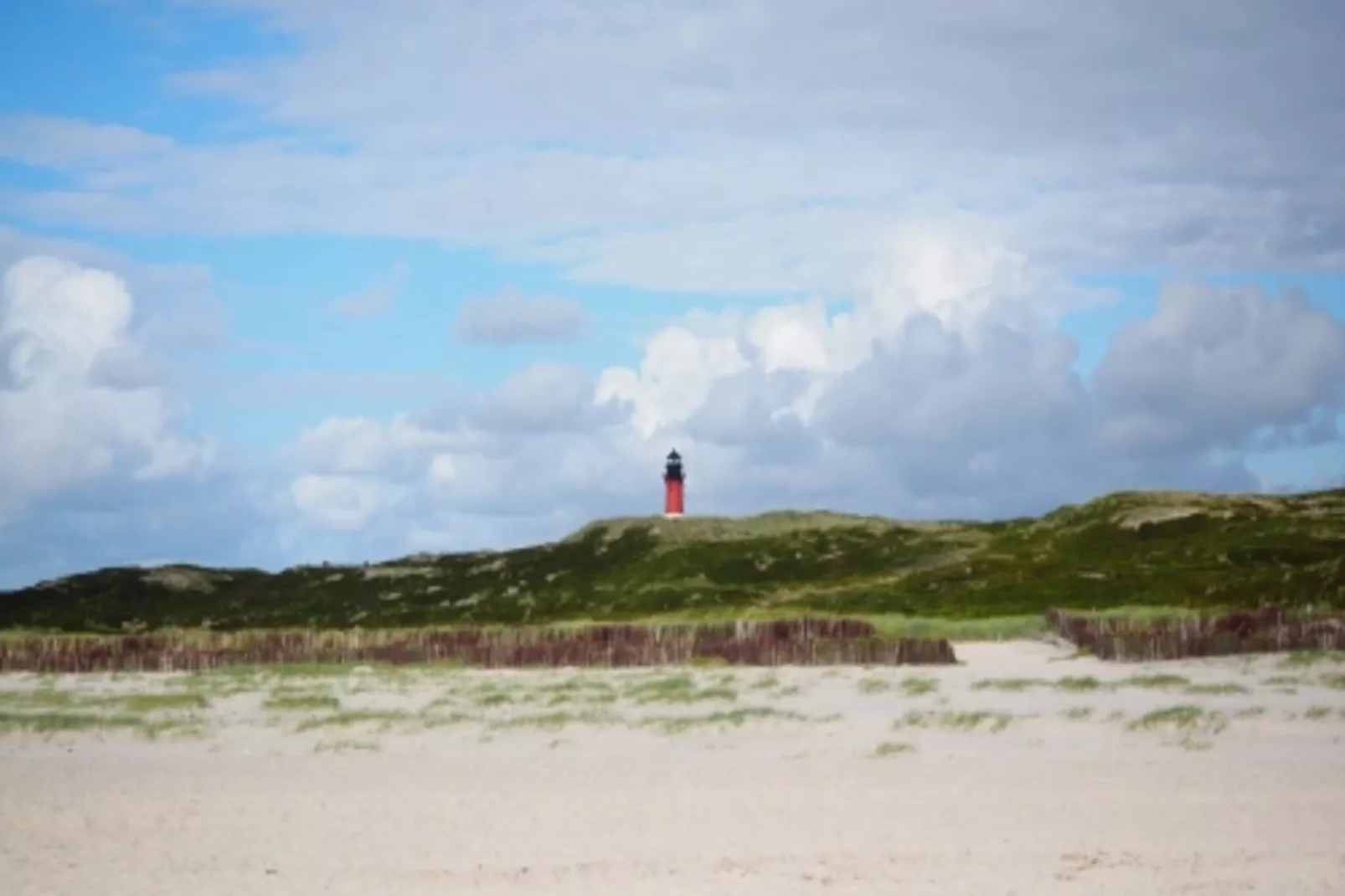 Ferienwohnung in Wyk auf Föhr - Wohnung 7-Gebiete Sommer 1 km