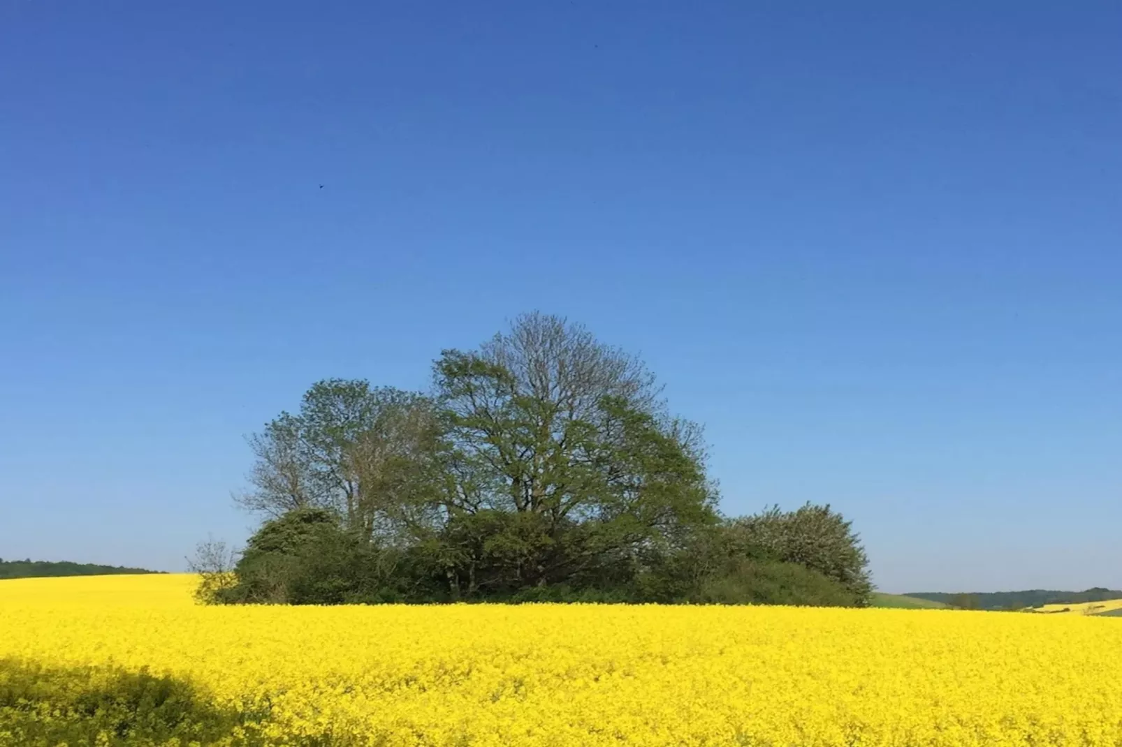 Wohnung oben rechts-Areas within 5km in summer