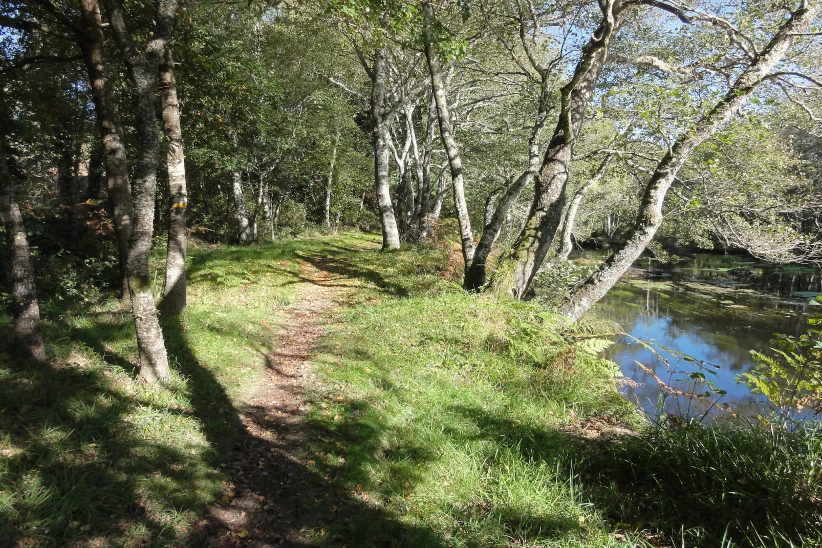 Casa Ribeira Sacra-Areas within 1km in summer