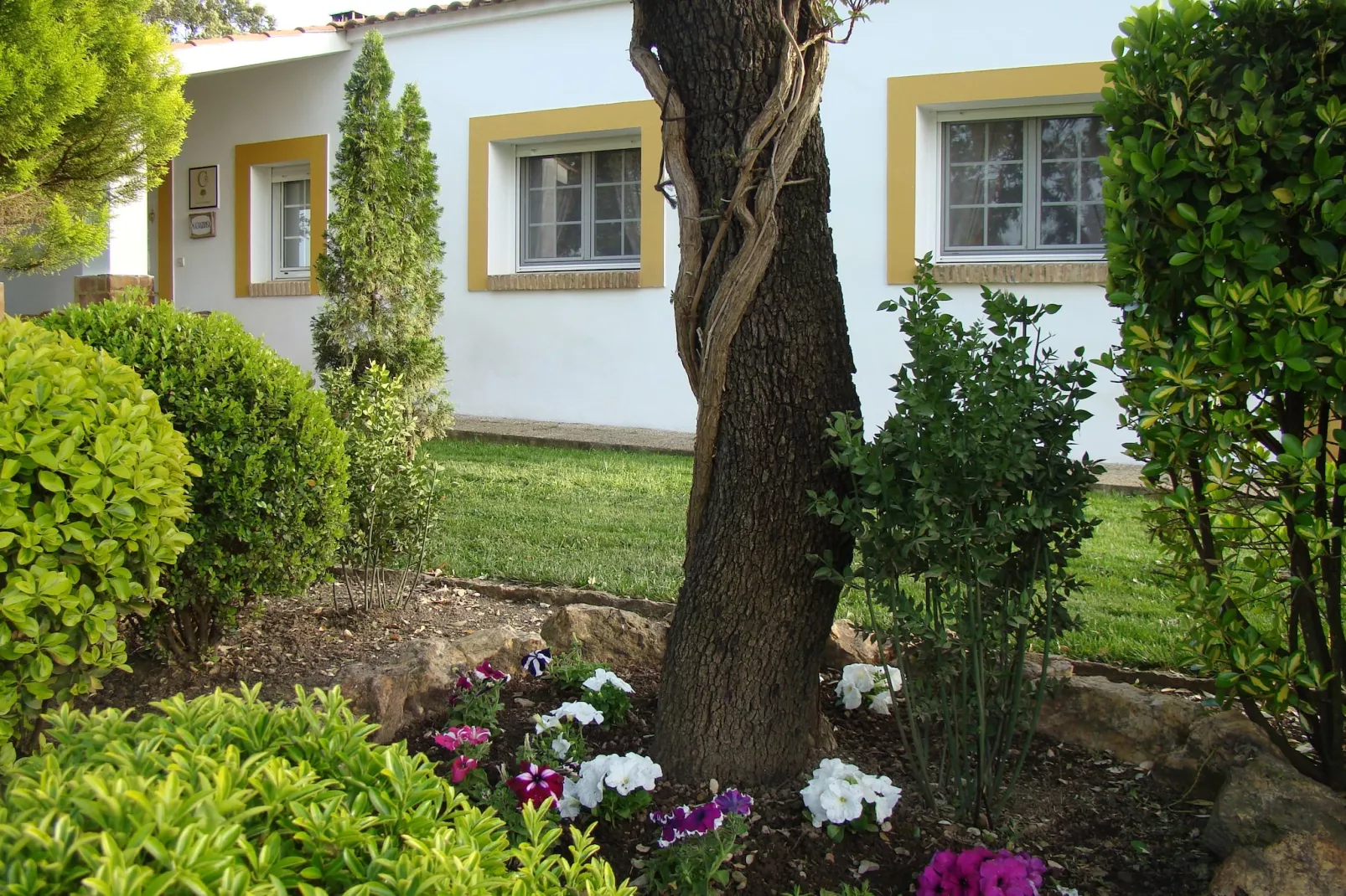 Malvarrosa-Exterior in summer