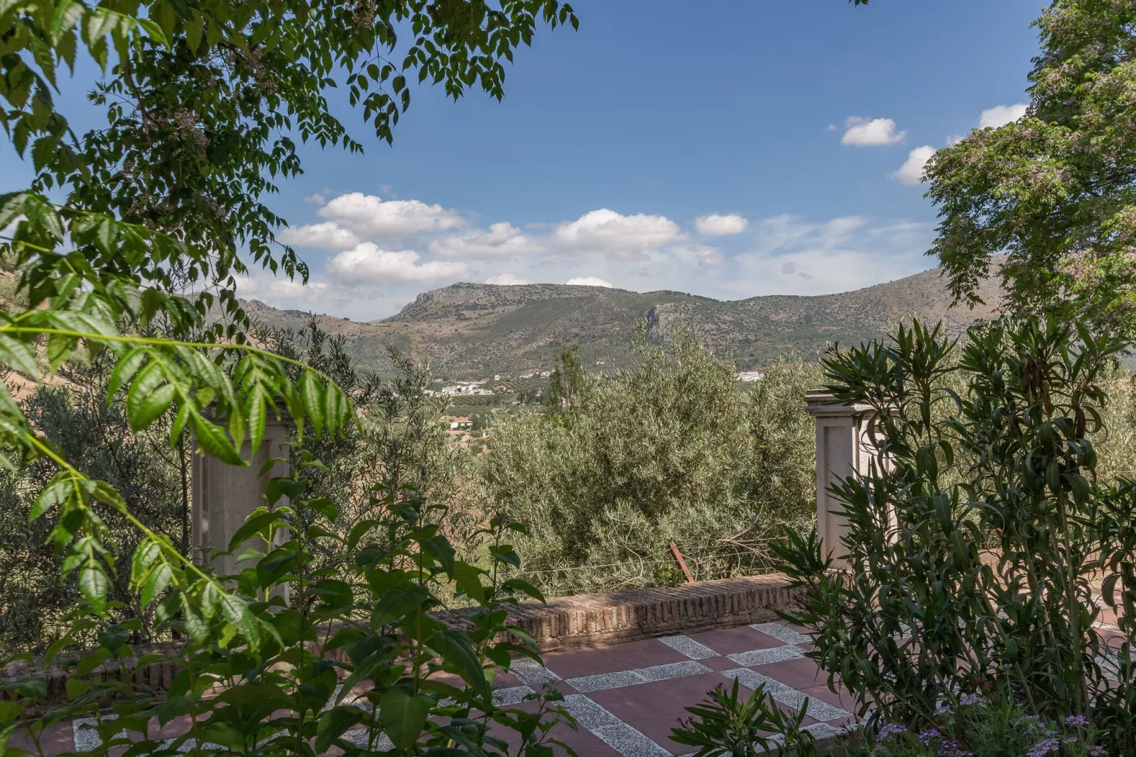 Cortijo La Mimbre-View in summer