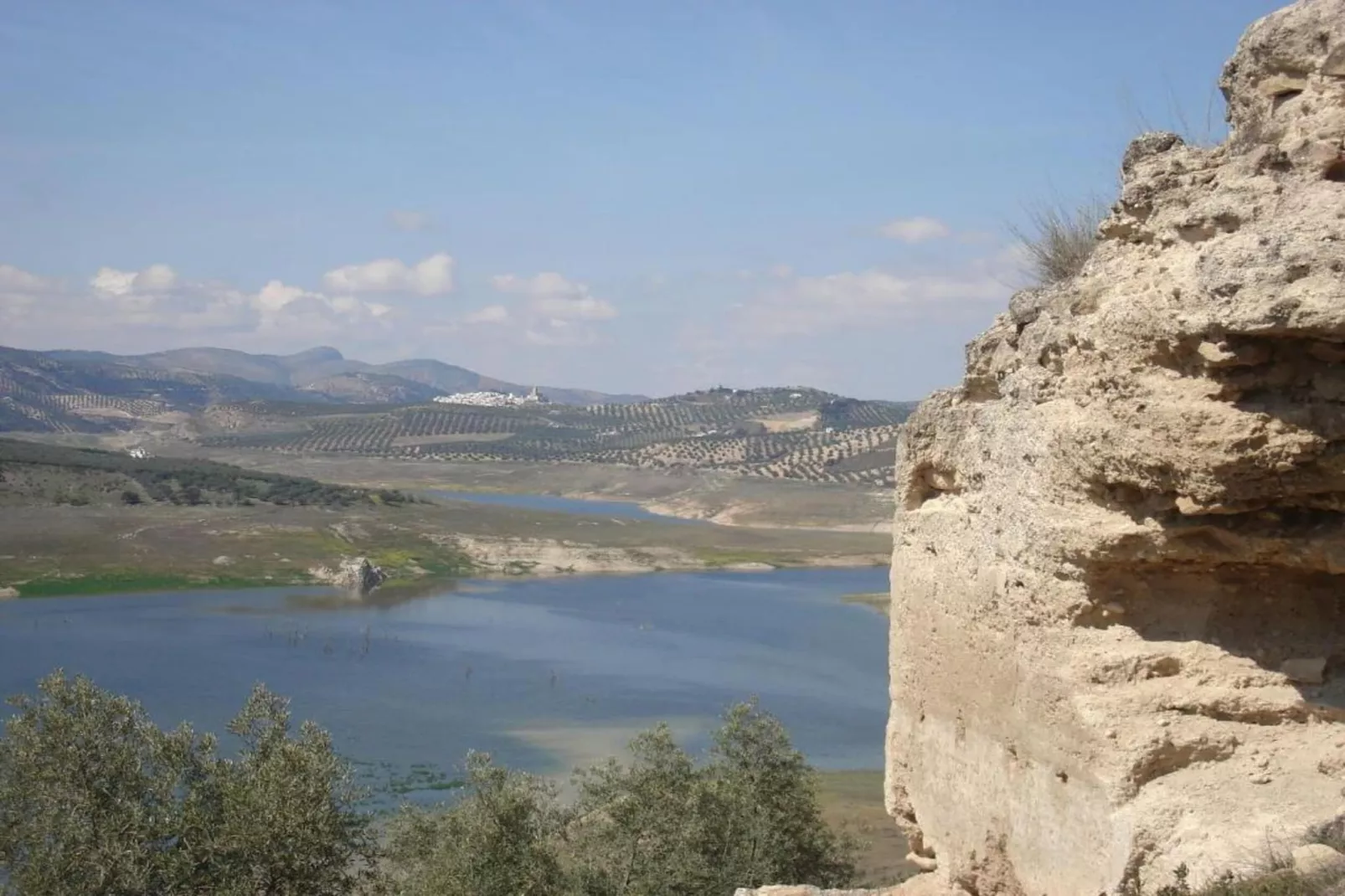 El Molino-Areas within 20km in summer