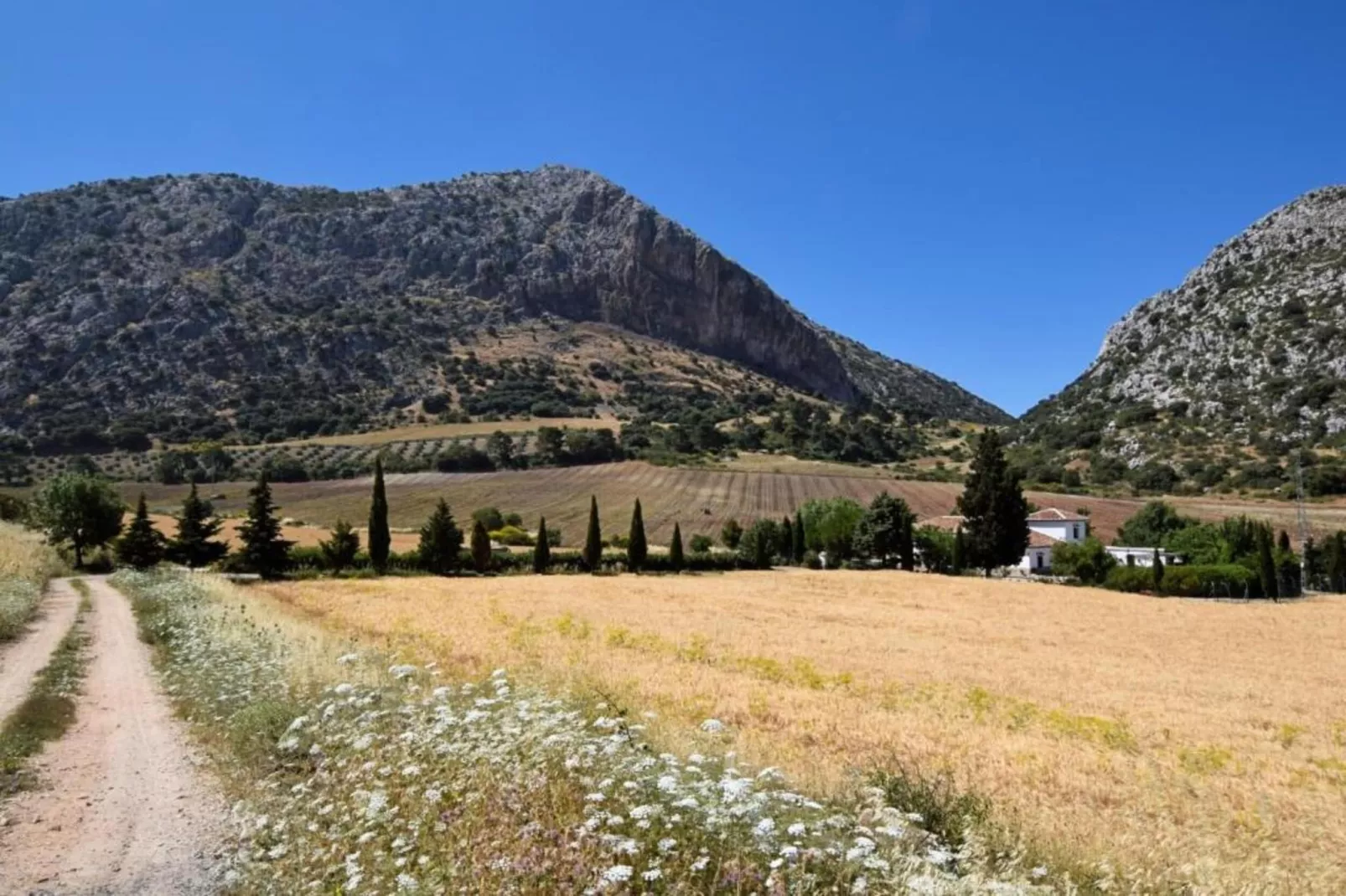 Cortijo Los Alazores-Areas within 5km in summer